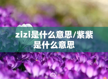 zizi是什么意思/紫紫是什么意思