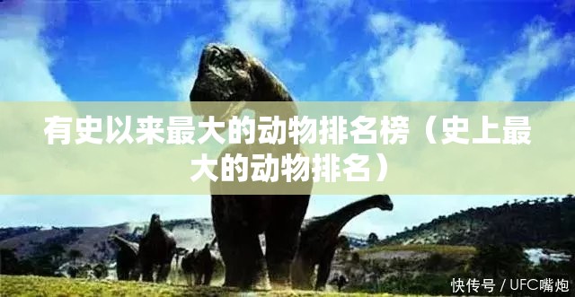 有史以来最大的动物排名榜（史上最大的动物排名）