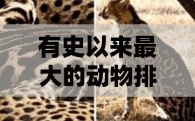 有史以来最大的动物排名榜（史上最大的动物排名）