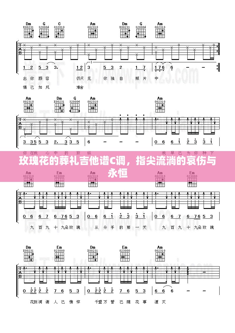 玫瑰花的葬礼吉他谱C调，指尖流淌的哀伤与永恒