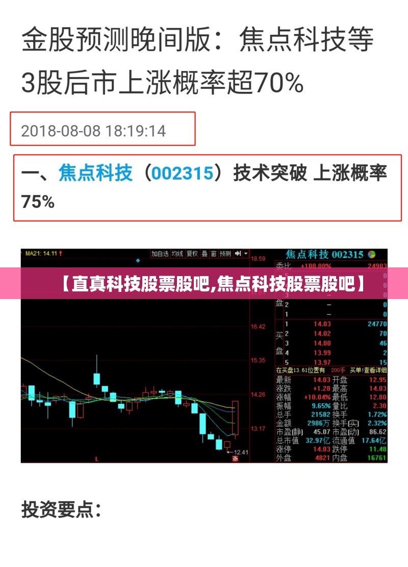 【直真科技股票股吧,焦点科技股票股吧】
