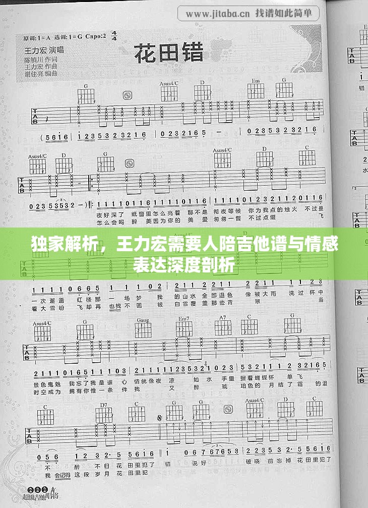 独家解析，王力宏需要人陪吉他谱与情感表达深度剖析