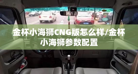 金杯小海狮CNG版怎么样/金杯小海狮参数配置