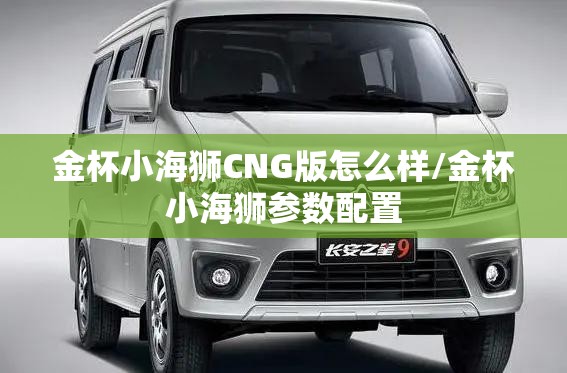金杯小海狮CNG版怎么样/金杯小海狮参数配置