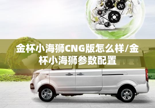 金杯小海狮CNG版怎么样/金杯小海狮参数配置