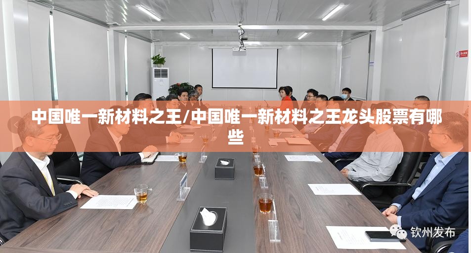 中国唯一新材料之王/中国唯一新材料之王龙头股票有哪些