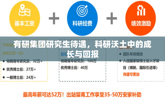 有研集团研究生待遇，科研沃土中的成长与回报
