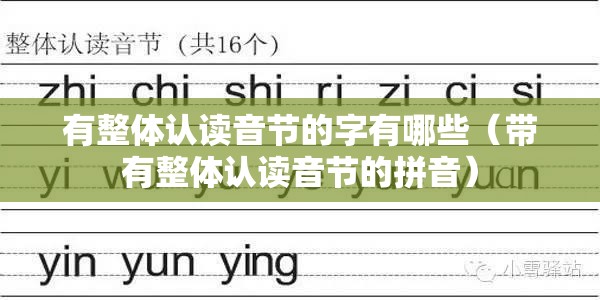 有整体认读音节的字有哪些（带有整体认读音节的拼音）