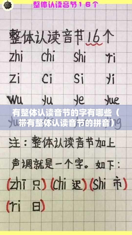 有整体认读音节的字有哪些（带有整体认读音节的拼音）