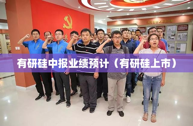有研硅中报业绩预计（有研硅上市）