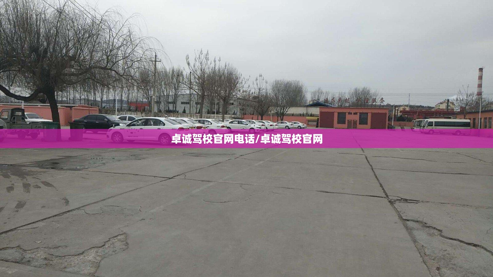 卓诚驾校官网电话/卓诚驾校官网