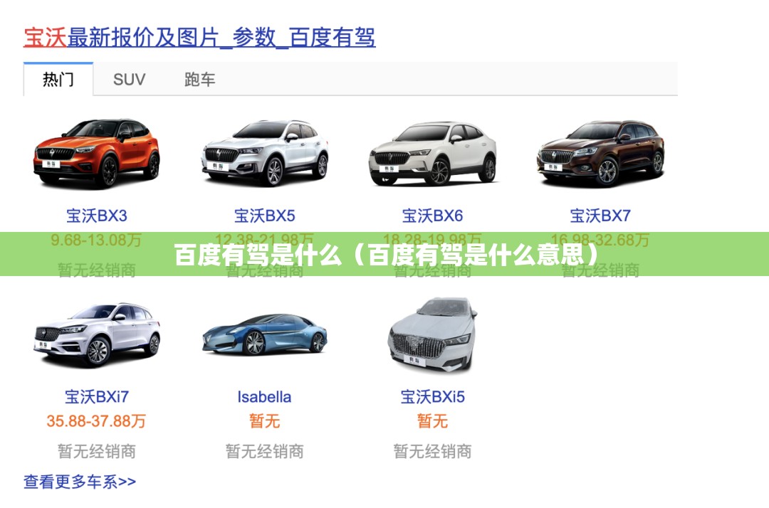 百度有驾是什么（百度有驾是什么意思）