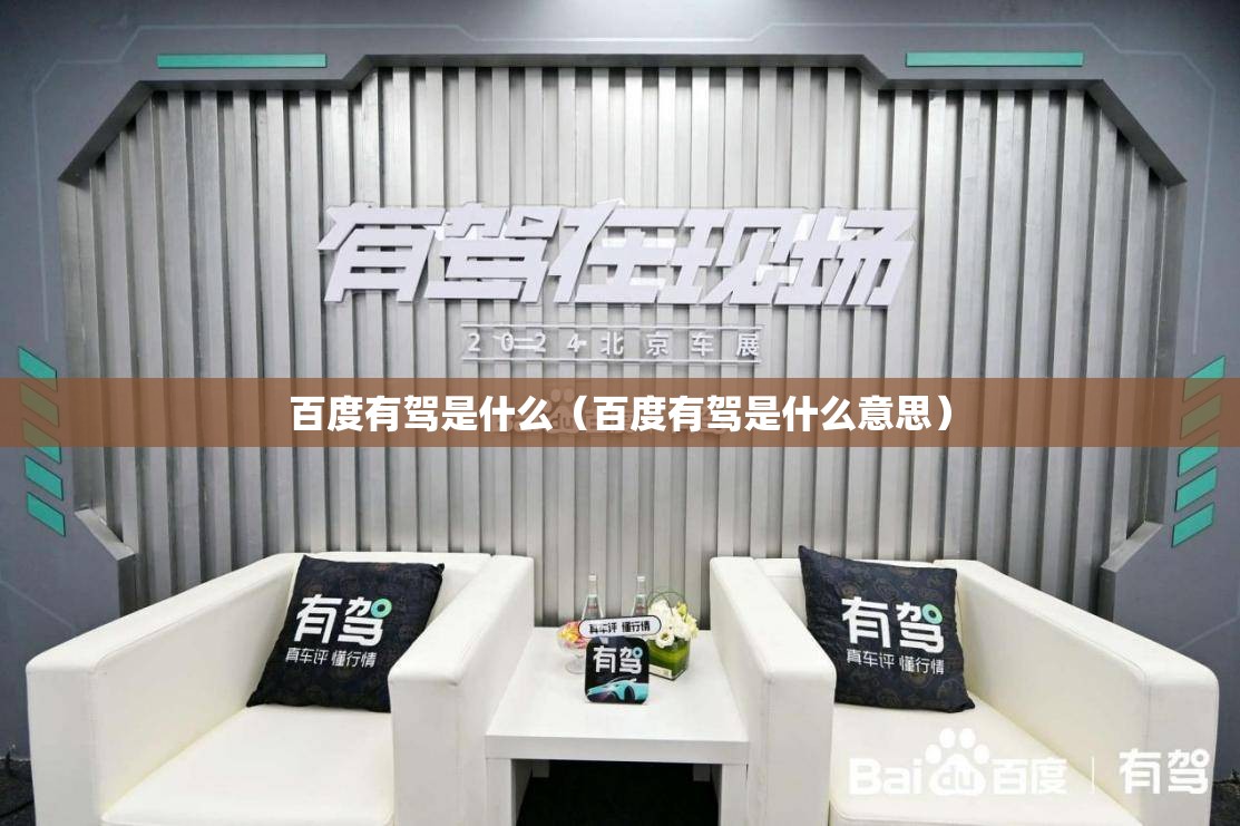 百度有驾是什么（百度有驾是什么意思）