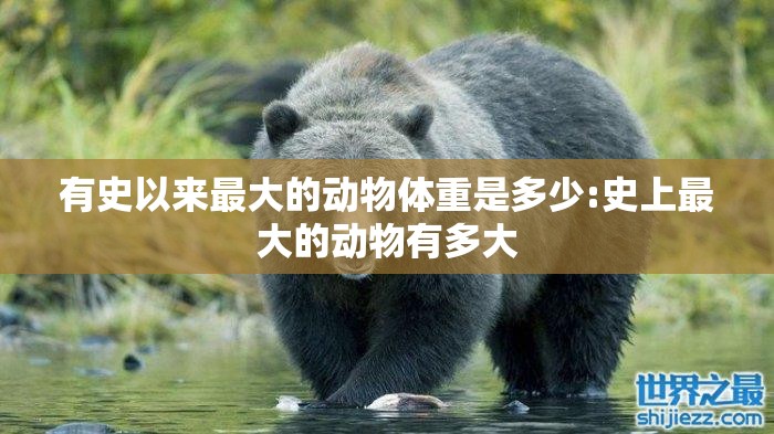 有史以来最大的动物体重是多少:史上最大的动物有多大