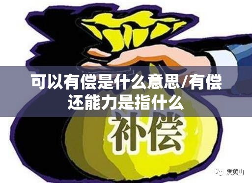 可以有偿是什么意思/有偿还能力是指什么