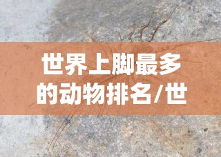 世界上脚最多的动物排名/世界上脚最多的虫是什么