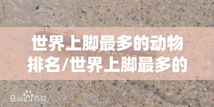 世界上脚最多的动物排名/世界上脚最多的虫是什么