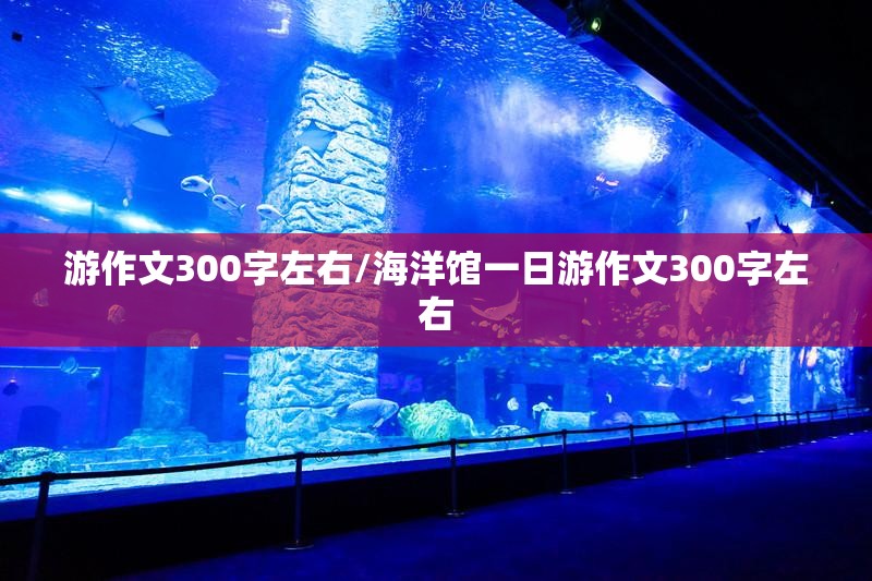 游作文300字左右/海洋馆一日游作文300字左右