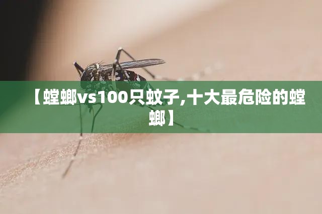 【螳螂vs100只蚊子,十大最危险的螳螂】