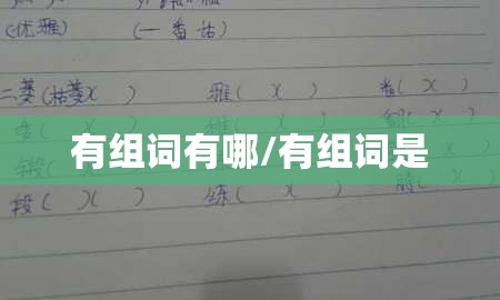 有组词有哪/有组词是