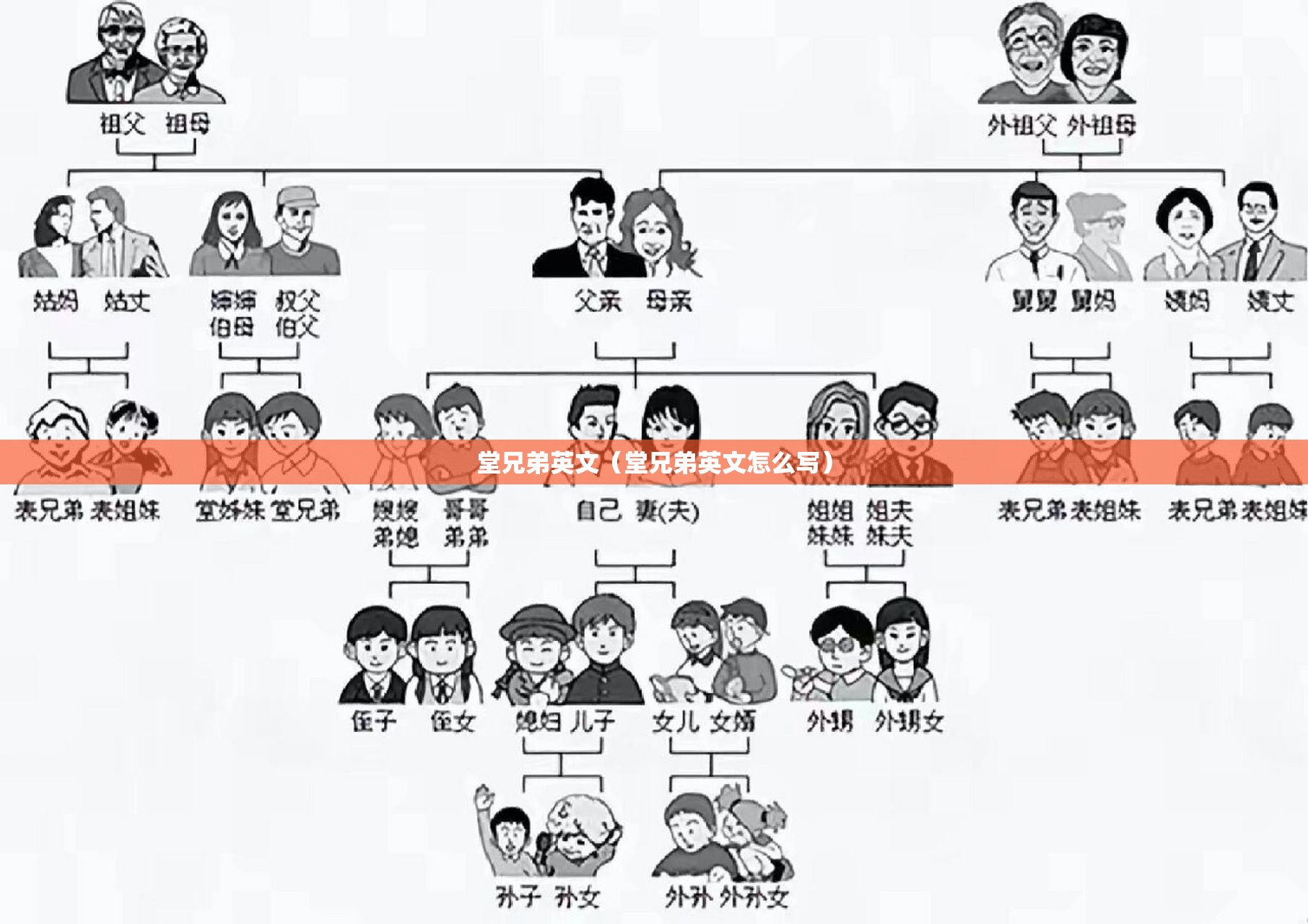 堂兄弟英文（堂兄弟英文怎么写）