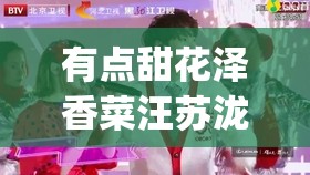 有点甜花泽香菜汪苏泷mp3下载/有点甜汪苏泷花泽香菜歌曲