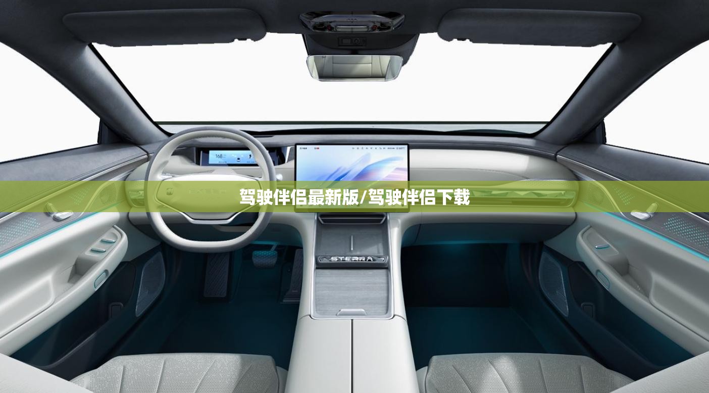驾驶伴侣最新版/驾驶伴侣下载