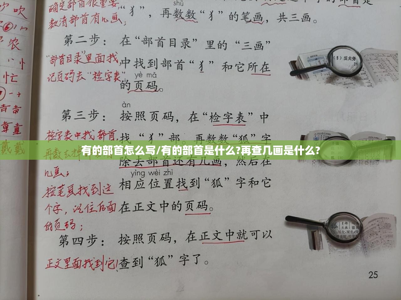 有的部首怎么写/有的部首是什么?再查几画是什么?