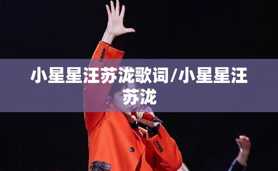 小星星汪苏泷歌词/小星星汪苏泷