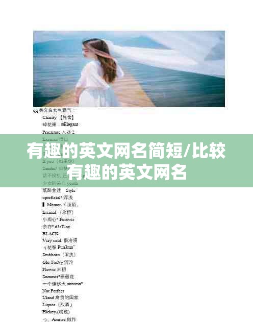 有趣的英文网名简短/比较有趣的英文网名