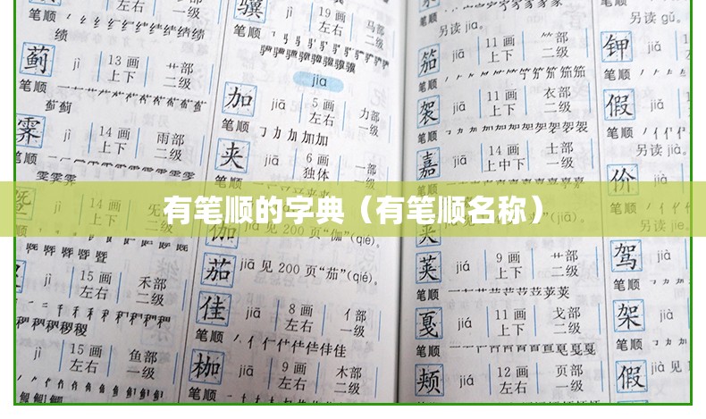 有笔顺的字典（有笔顺名称）