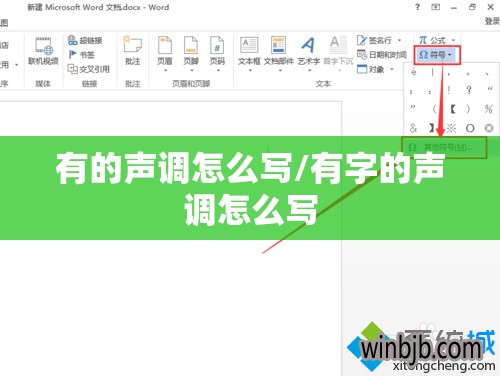 有的声调怎么写/有字的声调怎么写