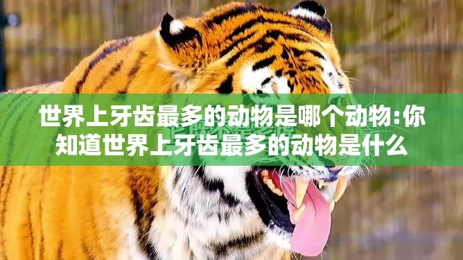 世界上牙齿最多的动物是哪个动物:你知道世界上牙齿最多的动物是什么