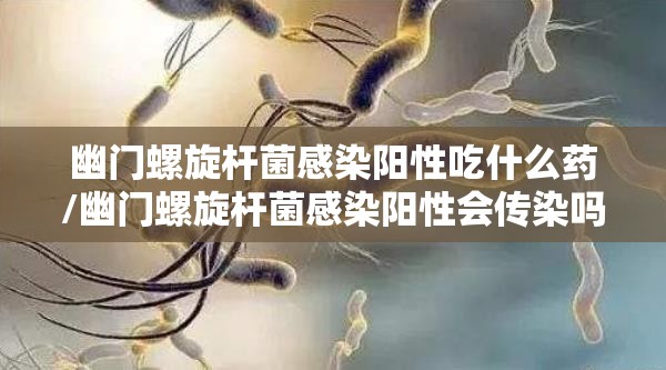 幽门螺旋杆菌感染阳性吃什么药/幽门螺旋杆菌感染阳性会传染吗