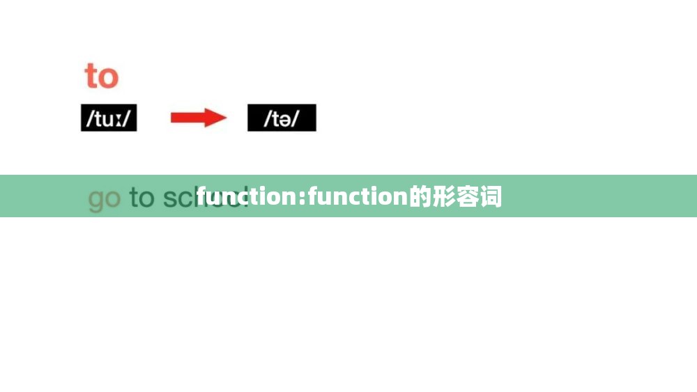 function:function的形容词