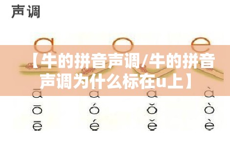 【牛的拼音声调/牛的拼音声调为什么标在u上】