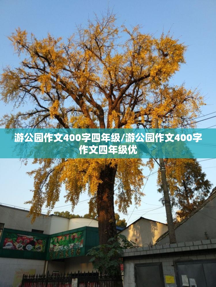 游公园作文400字四年级/游公园作文400字作文四年级优