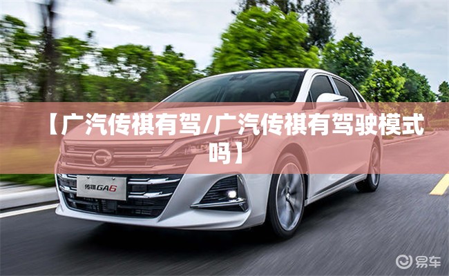 【广汽传祺有驾/广汽传祺有驾驶模式吗】