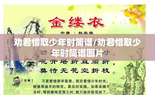 劝君惜取少年时简谱/劝君惜取少年时简谱图片