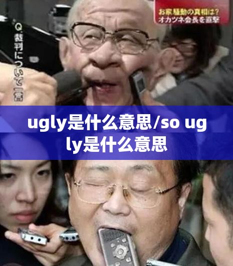 ugly是什么意思/so ugly是什么意思