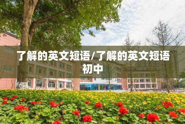 了解的英文短语/了解的英文短语初中