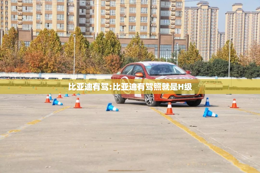 比亚迪有驾:比亚迪有驾照就是H级