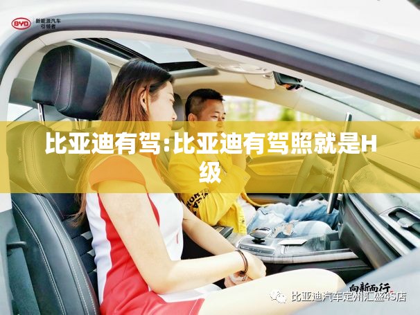 比亚迪有驾:比亚迪有驾照就是H级