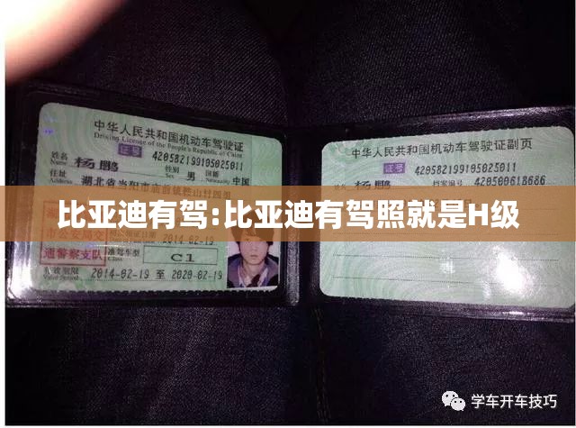 比亚迪有驾:比亚迪有驾照就是H级