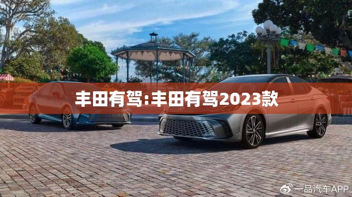 丰田有驾:丰田有驾2023款