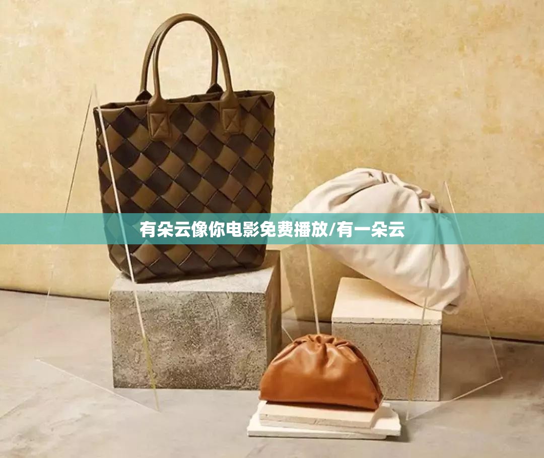 有朵云像你电影免费播放/有一朵云