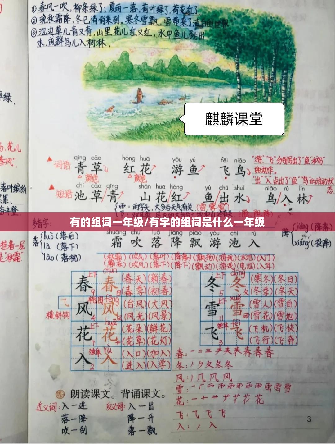 有的组词一年级/有字的组词是什么一年级
