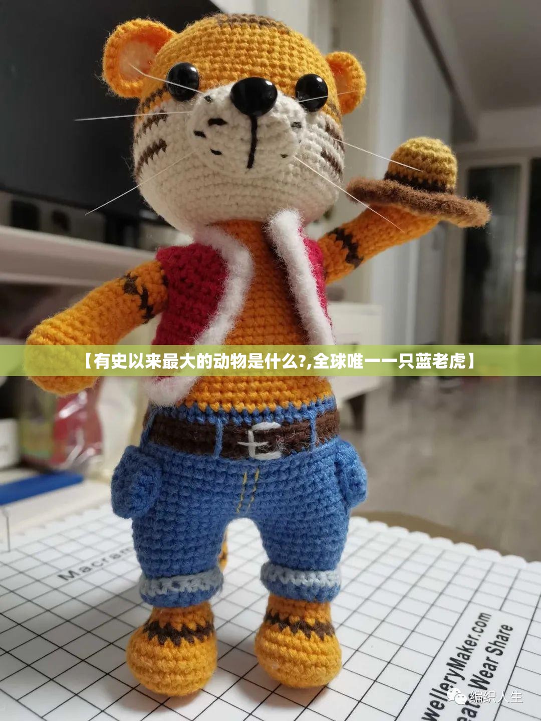【有史以来最大的动物是什么?,全球唯一一只蓝老虎】