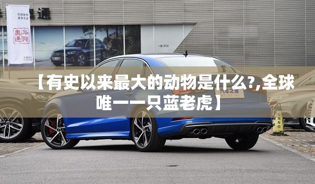 【有史以来最大的动物是什么?,全球唯一一只蓝老虎】
