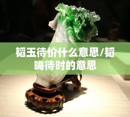 韬玉待价什么意思/韬晦待时的意思